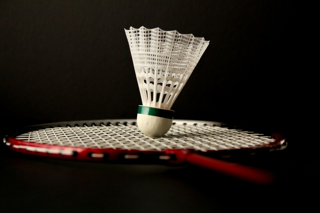 Korean Badminton Star Dominates Asian Games