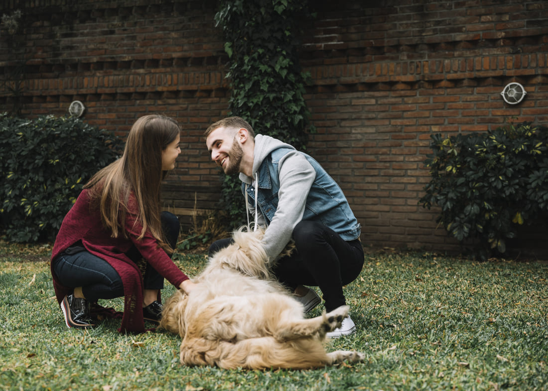 Talking About Pets