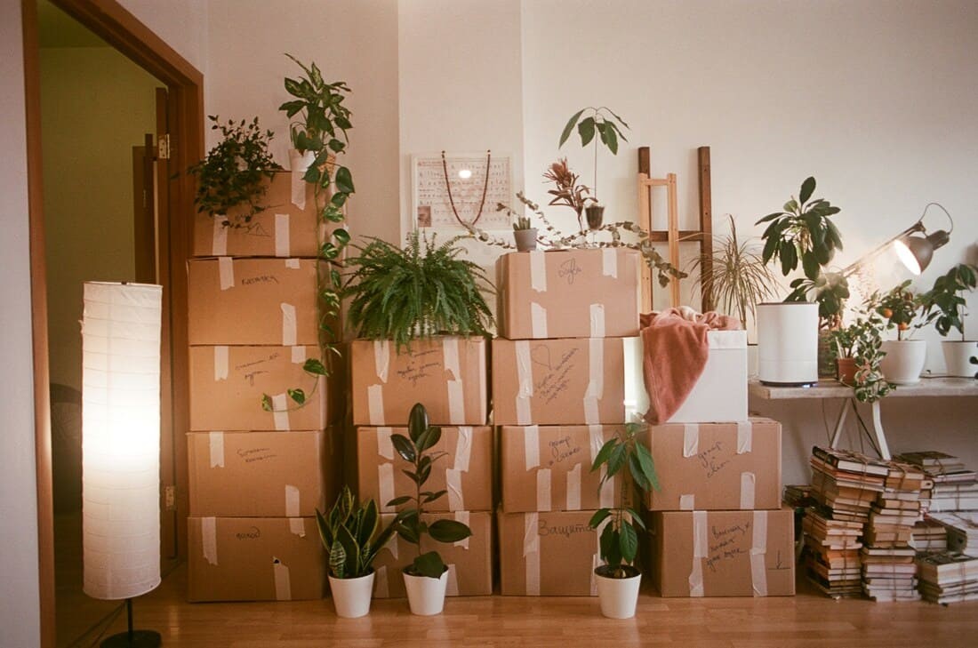 Moving Day: Stress or Fresh Start?