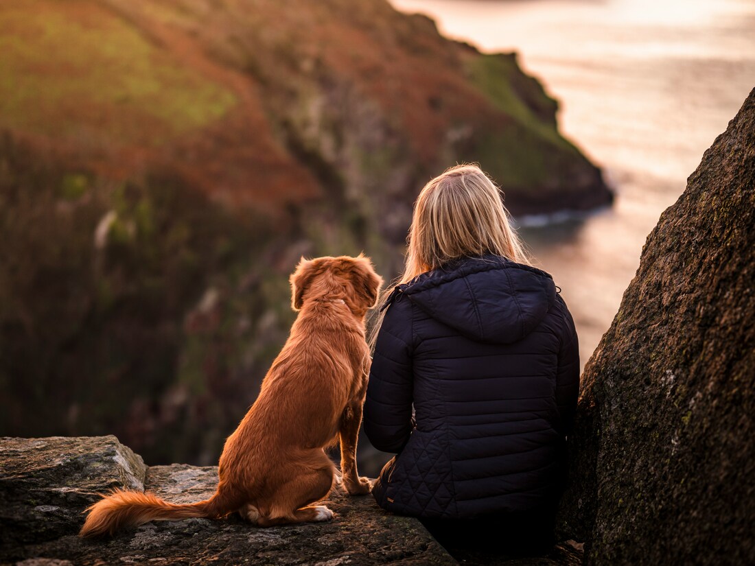How Do You Feel About Living with Pets?