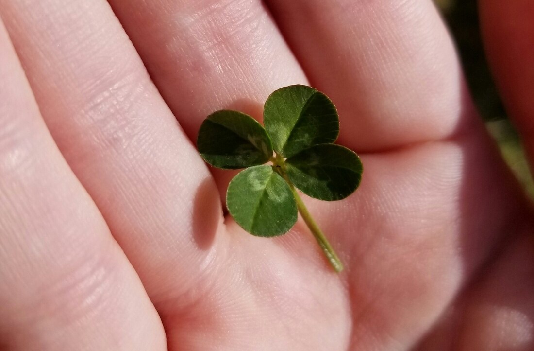 Luck vs. Hard Work: What Matters More?