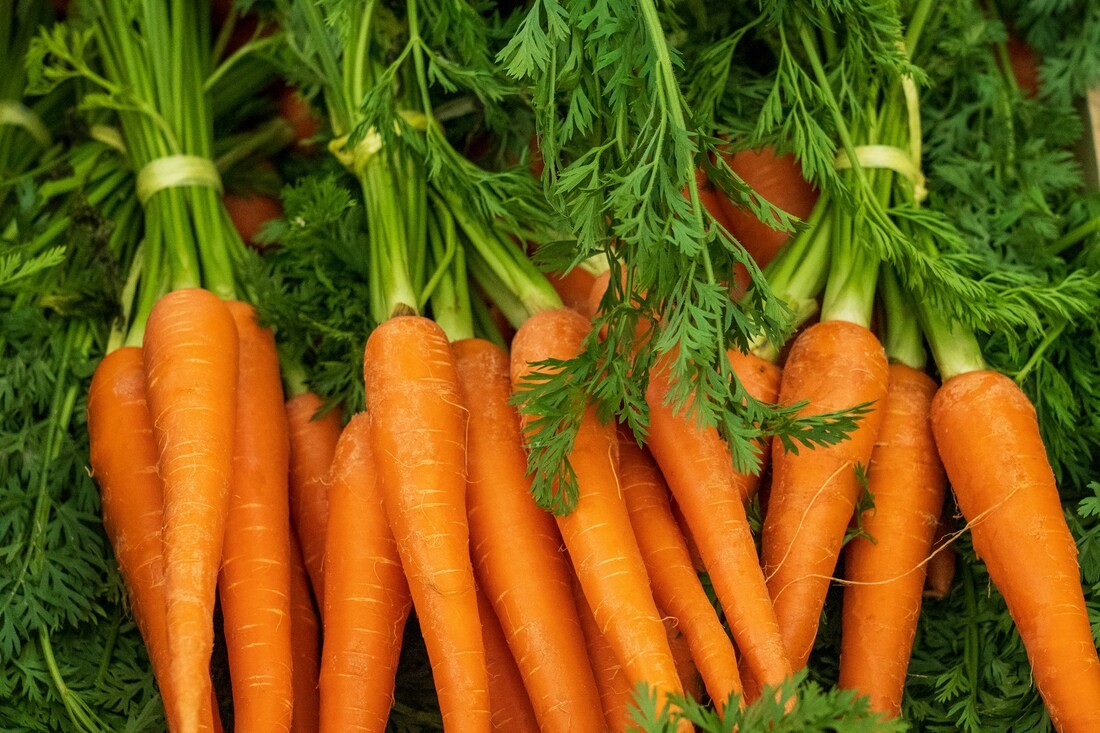 Were Carrots Always Orange?