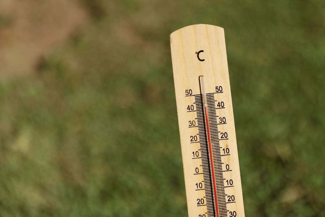 Seoul Braces For Record-Breaking Heat